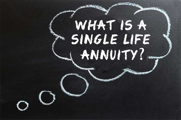 what is a single life annuity